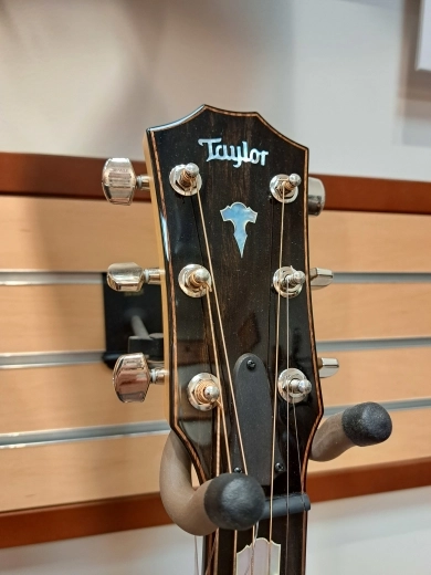 Taylor Guitars - 618E 4